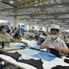 Workers at the factory of the Viet An International Co. Ltd in Phu My town, Ba Ria - Vung Tau province (Photo: VNA)