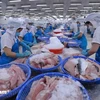Workers process fish for export at a factory in Vietnam. (Photo: VNA)