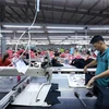 Many textile and garment businesses have received orders to be fulfilled until the fourth quarter. (Photo: VietnamPlus)