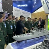 Vietnamese Minister of National Defence Gen. Phan Van Giang (front, third from right) and other officials visit a booth at Army-2024 on August 12. (Photo: VNA)