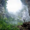 The second sinkhole of Son Doong Cave, also called "Garden of Edam" (Photo: Oxalis)