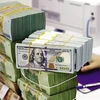 A bank teller counts the dollar at a transaction office in Hanoi. The rapid cooling of the exchange rate creates conditions for the SBV to implement a looser monetary policy, in order to support liquidity for the banking system and the economy. (Photo: baodautu.vn)