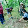 Tourists experience cultivating bamboo at an agricultural tourism model in Bac Giang province. (Photo: Nhan dan Newspaper)