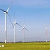 Turbines of the Hanbaram wind power project in Bac Phong commune of Thuan Bac district, Ninh Thuan province (Illustrative photo: VNA)