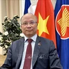 Vietnamese Ambassador to France Dinh Toan Thang (Photo: VNA)