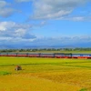 The railway sector is to receive substantial infrastructure development and change its business model. (Photo: VietnamPlus)