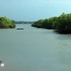 A mangrove forest on the Tam Giang - Cau Hai lagoon system in Phu Dien commune, Phu Vang district, Thua Thien - Hue province (Photo: VNA)