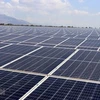 Indonesia’s installed solar power capacity reached 717.71 MW as of August 2024. (Illustrative photo: VNA)