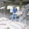 Workers load cement bags on a truck at a factory. (Photo: VNA)