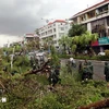 Authorities clear fallen trees on a road in Quang Ninh province after Typhoon Yagi in early September. (Photo: VNA)