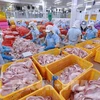 Workers sort tra fish fillets at a factory in Vietnam. (Photo: VNA)