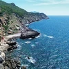 A corner of the Marine Protected Area in Nui Chua National Park in Ninh Hai district, Ninh Thuan province (Photo: VNA)