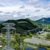 Le projet de la ligne 500kV circuit 3 Quang Trach – Phô Nôi s'achève dans des délais rapides