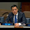 L'ambassadeur Dang Hoang Giang, représentant permanent du Vietnam auprès des Nations Unies (ONU), s'exprime lors d'un débat général de la Commission du désarmement et de la sécurité internationale de l'Assemblée générale des Nations Unies. Photo: VNA