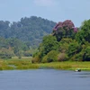 Le parc national de Cat Tien, un joyau du Vietnam dans la Liste verte des aires protégées