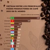 Vietnam entre principales países productores de café 2023 en el mundo
