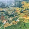 Revista extranjera se maravilla con encantadora paleta de colores del otoño de Sa Pa