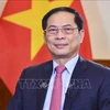 El viceprimer ministro y canciller vietnamita, Bui Thanh Son. (Fuente: VNA)