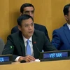 El embajador Dang Hoang Giang, representante permanente de Vietnam ante la Organización de Naciones Unidas. (Fuente: VNA)