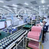 Línea de producción de placas de circuitos electrónicos en la empresa en la provincia de Bac Ninh, con inversión de Corea del Sur (Fuente: VNA).