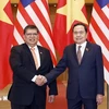 El presidente de la Asamblea Nacional de Vietnam, Tran Thanh Man, se reúne con el titular de la Cámara de Representantes de Malasia, Tan Sri Dato' Johari Bin Abdul. (Fuente:VNA)