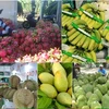 Vietnam alcanzará 61 mil millones de dólares por exportaciones de productos agrícolas, forestales y acuícolas 