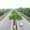 La calle 3/2 en la ciudad de Vung Tau tiene árboles y flores en sus alrededores. (Fuente: Internet)