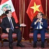 El presidente de Vietnam, Luong Cuong, se reúne con el titular del Congreso de Perú, Eduardo Salhuana. (Fuente: VNA)