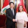 La presidenta de Perú, Dina Ercilia Boluarte Zegarra, y su homólogo vietnamita, Luong Cuong. (Fuente: VNA)