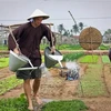 Turistas extranjeros en la aldea de vegetales de Tra Que, en la provincia central de Quang Nam. (Fuente: VNA)