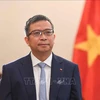 El viceministro de Relaciones Exteriores de Vietnam, Pham Thanh Binh. (Fuente: VNA)