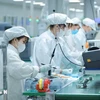 Vietnam impulsa formación de recursos humanos para industria de semiconductores y tecnologías digitales. (Fuente: VNA)