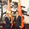 El viceprimer ministro y canciller de Vietnam, Bui Thanh Son (izquierda), se reunió con el vicepresidente de China, Han Zheng. (Fuente: VNA)