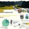 2024年赴越南旅游的中国游客逐步恢复