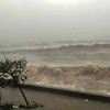 台风“摩羯”登陆海防市 台风强度达到巅峰