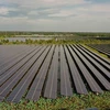 La planta de energía solar Europlast Long An en la comuna de My Thanh Bac, distrito de Duc Hue, provincia de Long An, tiene una superficie de más de 58 hectáreas, con 151.421 paneles solares instalados. (Fuente: VNA)
