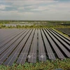 Planta de energía solar Europlast Long An en la comuna de My Thanh Bac, distrito de Duc Hue, provincia de Long An. (Fuente: VNA)