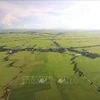 Campos de arroz en el Delta del Mekong vistos desde arriba. Foto de ilustración (Fuente: VNA)