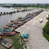 Buques anclados de forma proactiva para evitar tormentas en el puerto pesquero de Tan Son (ciudad de Diem Dien, distrito de Thai Thuy, provincia de Thai Binh). (Fuente: VNA)