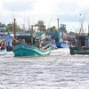 La provincia de Ca Mau ha implementado el uso de software de gestión integrada para controlar los buques pesqueros que entran y salen del puerto marítimo, que deben ser controlados por el puerto pesquero, la oficina INDNR y la estación de guardia fronteriza. Foto: Huynh Anh – VNA