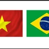 1989年越南与巴西建立外交关系。