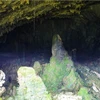 野兽洞于1976年首次发掘，被认为是越南乃至东南亚最独特的史前洞穴考古遗址。图自Vietnam+