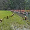 宁平省梧桐河上的农业仪式。图自宁平广播与电视台