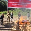 老挝北部赛宋本省当局销毁毒品。图自越通社