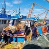 Le Vietnam s'efforce de développer une pêche durable et moderne d'ici 2050