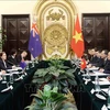 Panorama de la 2e réunion des ministres des Affaires étrangères Vietnam-Nouvelle-Zélande. Photo: VNA