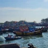 Des bateaux de pêche qui ne sont pas enregistrés, non immatriculés et sans permis de pêche, sont surveillés étroitement. Photo: VNA