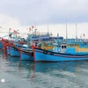 Des bateaux de pêche mouillent au port. Photo: VNA