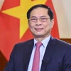 Le vice-Premier ministre et ministre des Affaires étrangères Bui Thanh Son. Photo: VNA