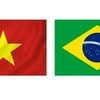 Le Vietnam et le Brésil ont officiellement établi des relations diplomatiques le 8 mai 1989. Photo : VietnamPlus